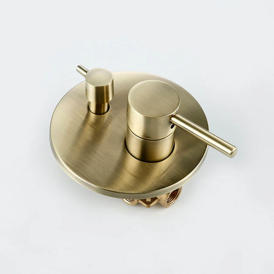 Black & Gold Brass 2-Way Concealed Shower Valve Mixer