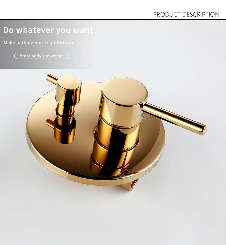 Black & Gold Brass 2-Way Concealed Shower Valve Mixer