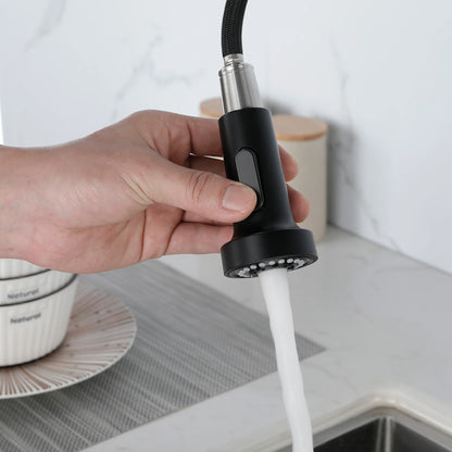 Solid Brass Pull Down Kitchen Faucet with High Arc Sprayer
