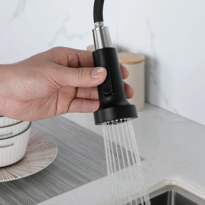 Solid Brass Pull Down Kitchen Faucet with High Arc Sprayer