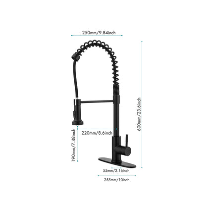 Solid Brass Pull Down Kitchen Faucet with High Arc Sprayer