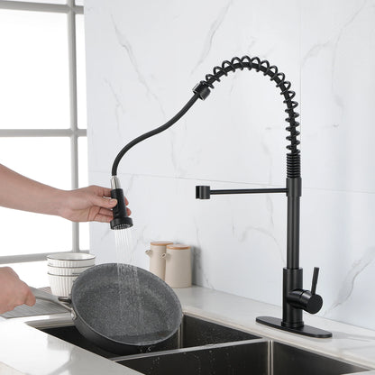 Solid Brass Pull Down Kitchen Faucet with High Arc Sprayer