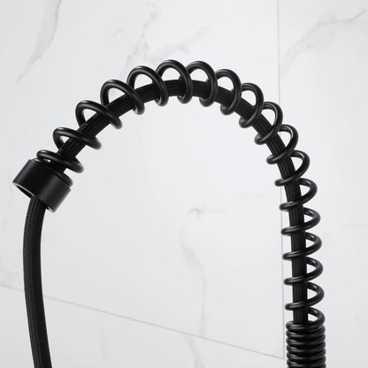 Solid Brass Pull Down Kitchen Faucet with High Arc Sprayer