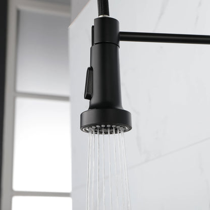 Solid Brass Pull Down Kitchen Faucet with High Arc Sprayer